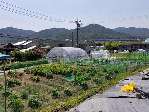 耕作放棄地の活用による農作物の生産・販売および交流機会づくり