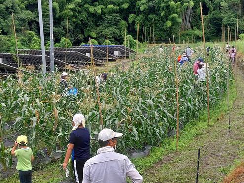 遊休農地の管理・運営事業