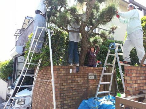 地域支え合い事業