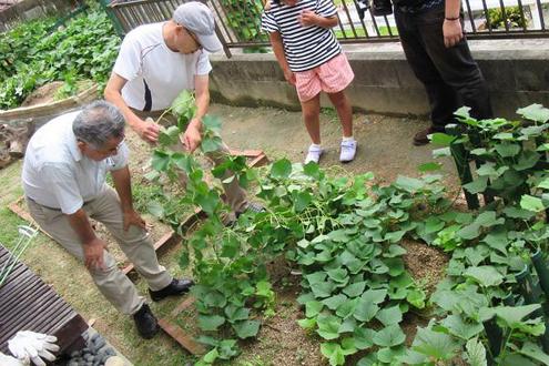 子どもの自立支援、学習支援事業