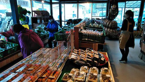 外出付き添い事業